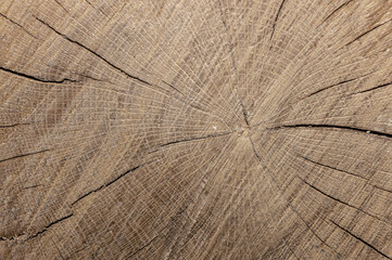 Fototapeta premium Dark brown wooden texture background. Rustic background