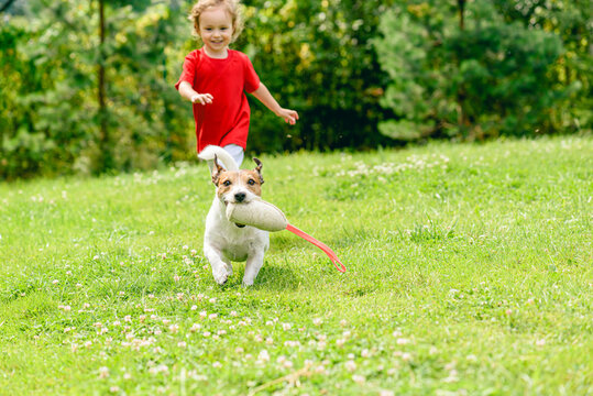 Dog With Squeaky Throwing Toy Running Away From Small Girl On Beautiful Summer Lawn At Backyard