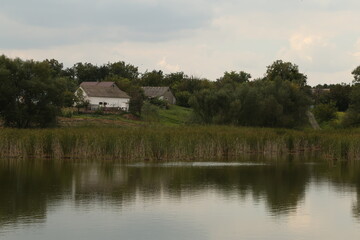 Summer landscape of the lake