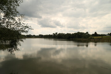 Fototapeta premium Summer landscape of the lake
