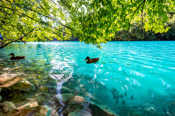 Plitvice Lakes, Croatia