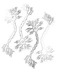 Vector outline drawings of silhouettes abstract human neuron cells