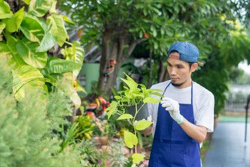 Man sell plant garden in shop