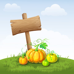 beautiful autumn landscape with pumpkins and wooden signboard. illustration of fall harvest with blank signpost on grass or field. hello autumn poster, fall festival or Thanksgiving banner template.