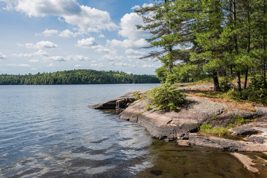 Canada, Ontario, Lake And Forest