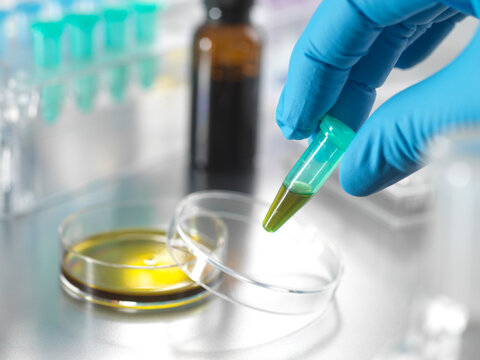 Scientist holding vial with essential oil