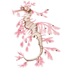 hand painted watercolor sea horse. It is perfect for cards, template design, postcards.