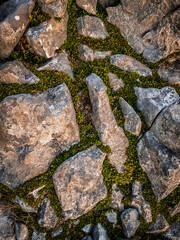 Stone and grass texture 