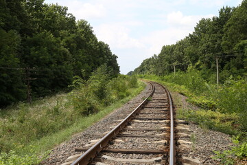 The railway in the forest