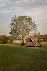 Obraz premium View of a camping tent with awning pitched on the dry ground Near beautiful big trees with branches at the campsite in lake shore with mountain range in background. Selective focus.
