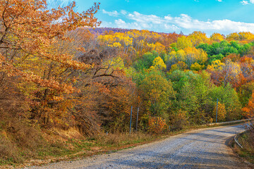 Landscape of an autumn forest with a road passing through it