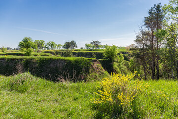 Terrain with ravines overgrown with single trees in sptingtime