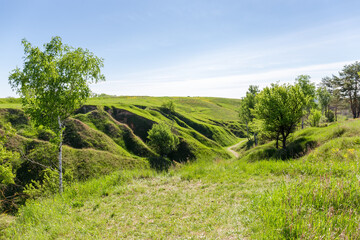 Ravine with steep clay slopes overgrown with single trees