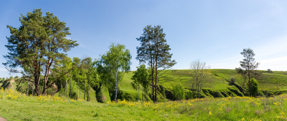 Fototapeta premium Ravine with steep clay slopes overgrown with single trees