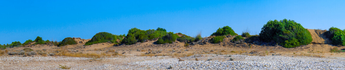 Fototapeta na wymiar Panorama of coastal dunes. Sand dunes with green bushes. Sand hills next to the beach against clear blue sky.