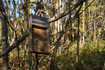 Image of bee feeders.