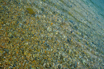 Image of the sea shore.