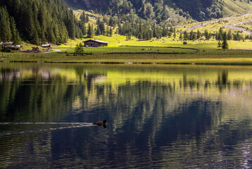 summer dayon the Hintersee lake in Austrian Alps