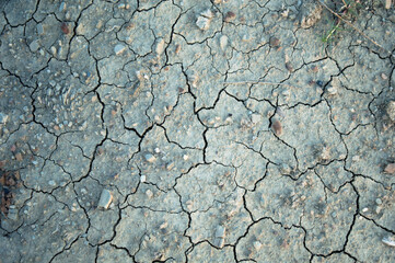 Closeup of dry soil. background and texture