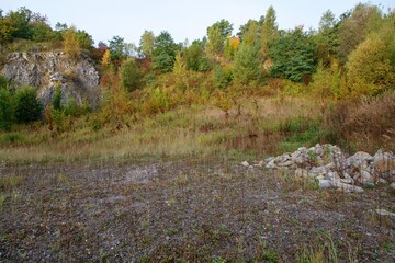 Overgrown old quarry at dawn. Moravia. Czechia.