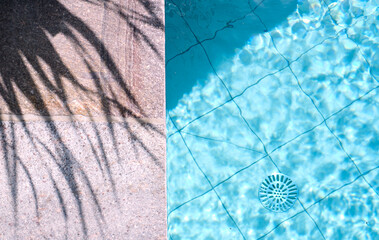 Shadow of a palm tree and turquoise water of swimming pool