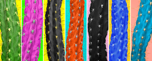 Contemporary art collage. Bright vibrant colors. Horizontal composition with multicolored cactus, cacti isolated over colored background