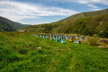 apiary in the mountains