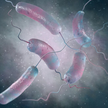 Medical background, amphitrichous bacteria with two flagella or a bundle of flagella at both ends, vibrio, 3D rendering