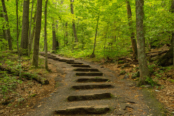 Stone path on the trail.