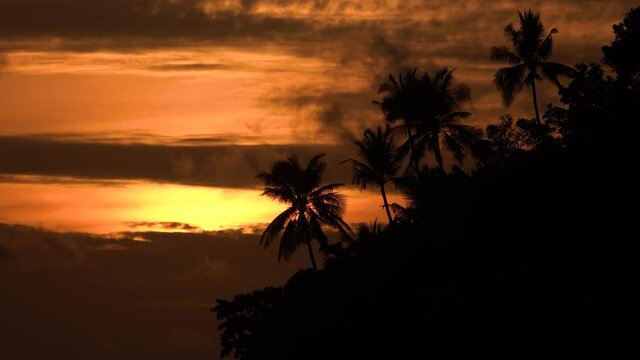 Amazing romantic on summer sunrise for seascape.Orange Sky Silhouette Palm Tree Branch.Amazing romantic on summer sunrise for seascape. 