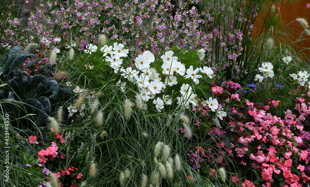 Poster fleurs