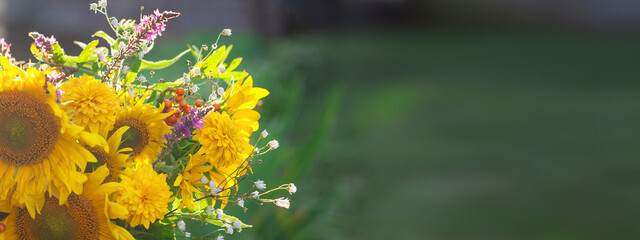 Banner. Beautiful autumnal bouquet of bright yellow sunflower on green nature background.