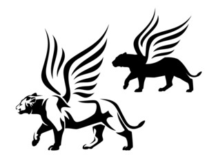 beautiful winged lioness walking forward side view portrait - black and white vector mythical animal outline and silhouette design
