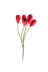 Red paper tulip flowers bouquet for scrapbooking, isolated on white background. Scrapbook element