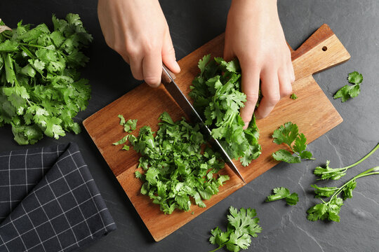 Woman cutting fresh green cilantro at black table, top view