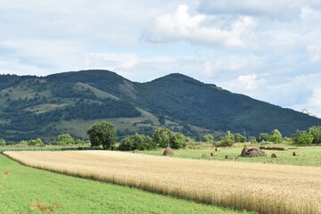 Beautiful mountain landscape with green meadow and round hay bales. Trascau mountains, Transylvania, Romania.