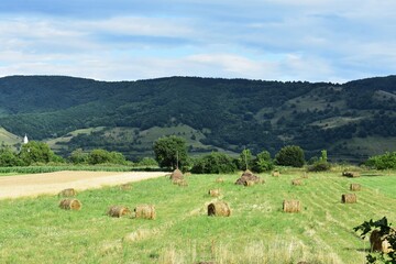 Beautiful mountain landscape with green meadow and round hay bales. Trascau mountains, Transylvania, Romania.