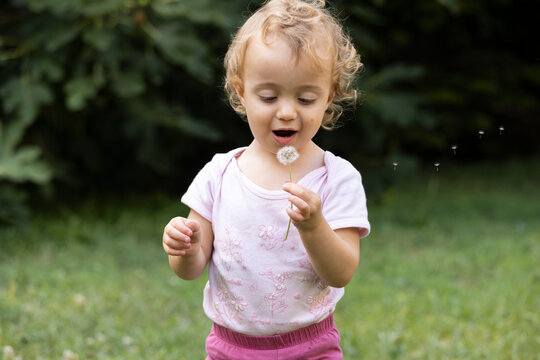 Baby girl blowing at dandelion in backyard