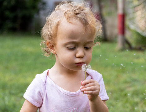 Baby girl playing with dandelion in backyard on the grass