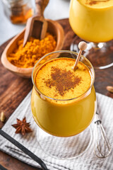 Turmeric golden milk latte with cinnamon sticks and honey. Healthy ayurvedic drink. Trendy Asian natural detox beverage with spices for vegans. Copy space.