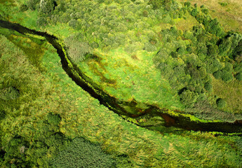 River in the wild. Aerial view of small river in middle of green field and forest in the wilderness. Natural Resource and Ecosystem. Wildlife Refuge Wetland Restoration. European Green Nature Scenery.