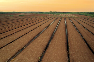 Peat extraction site. Harvester at collecting peat on peatlands. Mining and harvesting peatland....