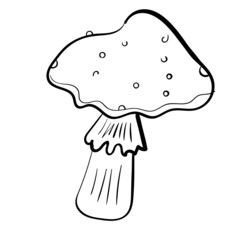 Mushroom Fly Agaric Vector Coloring Page or Book