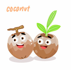 Coconut on White Background Vector