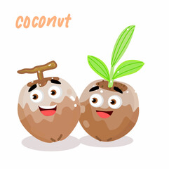 Obraz premium Coconut on White Background Vector