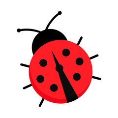 Ladybug or ladybird vector graphic illustration, isolated. Cute simple flat design of black and red dotted lady beetle.