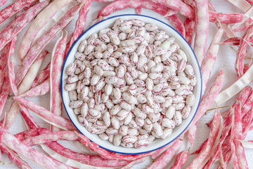 raw pinto beans and pods as a background