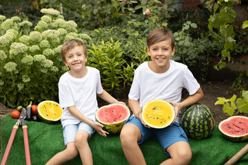 Two boys are sitting in the garden with yellow and red watermelons and having fun.