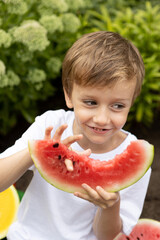 The boy cheerfully eats a slice of ripe red watermelon picking out the bones with his finger.