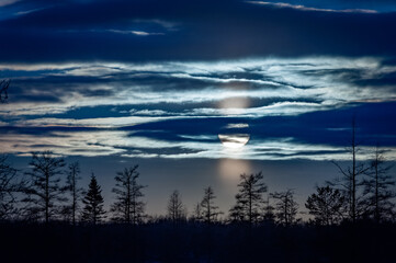 Fototapeta na wymiar Winter moonrise at Mer Bleue.